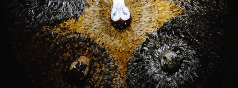 Chassez le Naturel, il revient à Paris&nbsp;!