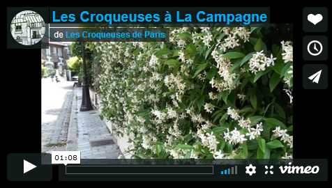 { vidéo } La Campagne à Paris